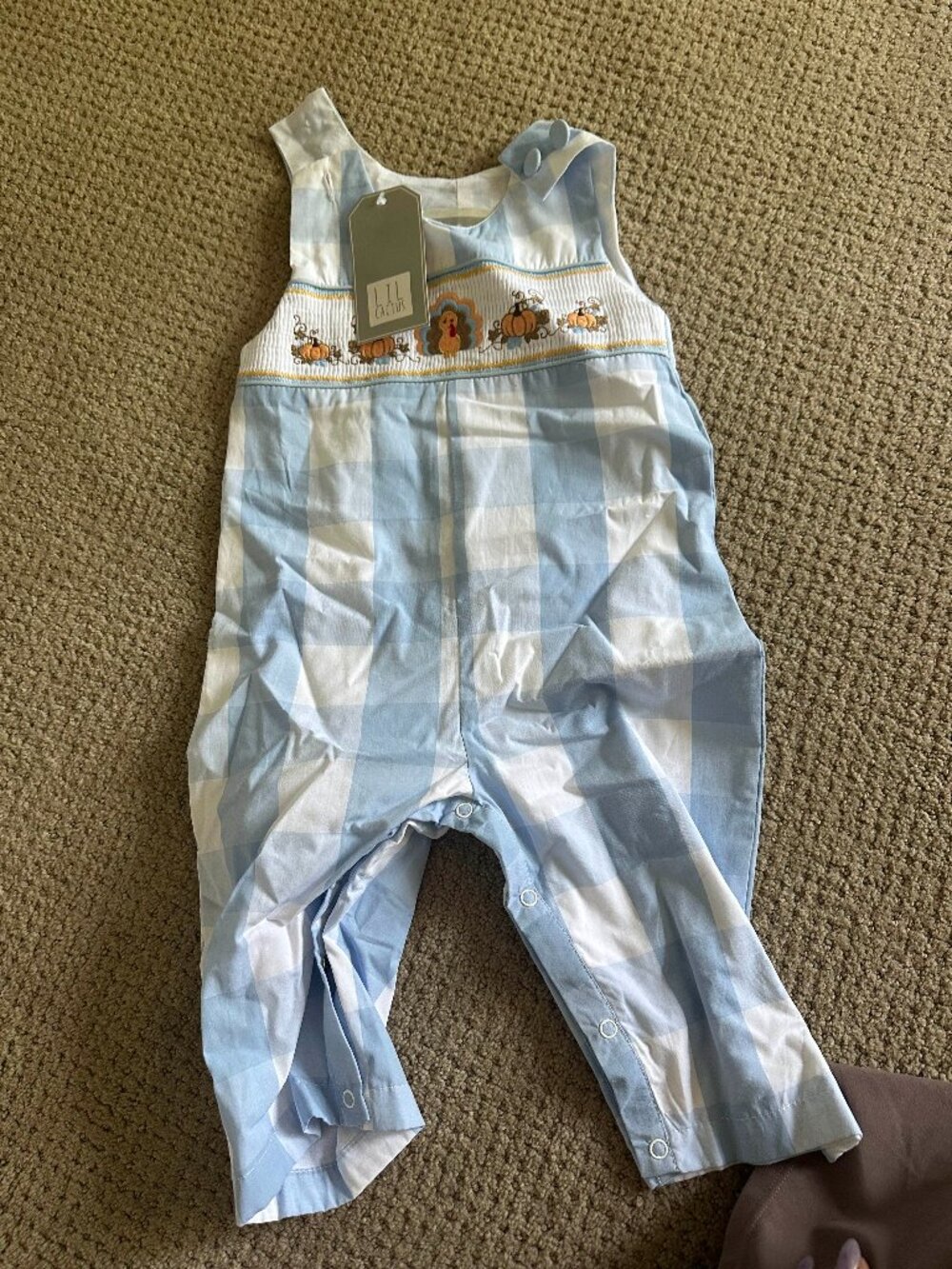Lil Cactus Blue Plaid Smocked Thanksgiving Longall Fall Outfit 12-18 months NWT